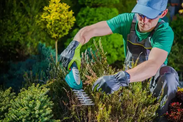 landscaping services Tappan